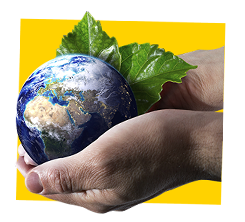 Le pôle environnement