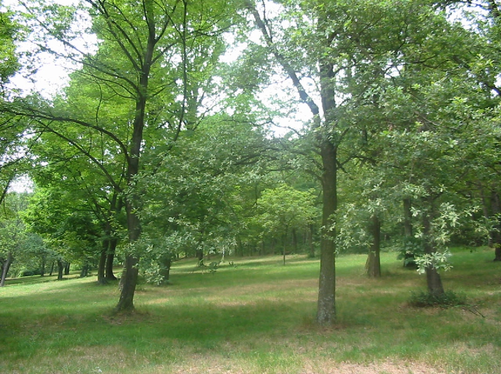 présentation environnement